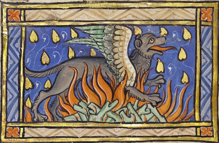 Саламандра | Источник: rawpixel.com / J. Paul Getty Museum