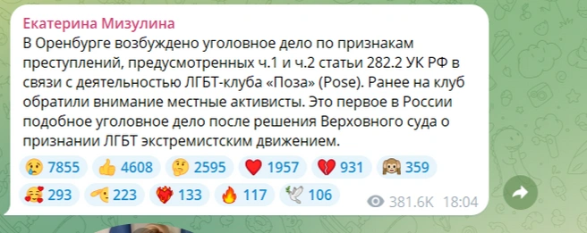 Комментарий Мизулиной | Источник: Екатерина Мизулина / t.me
