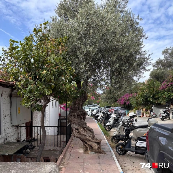 Источник: Наталия Колмогорова