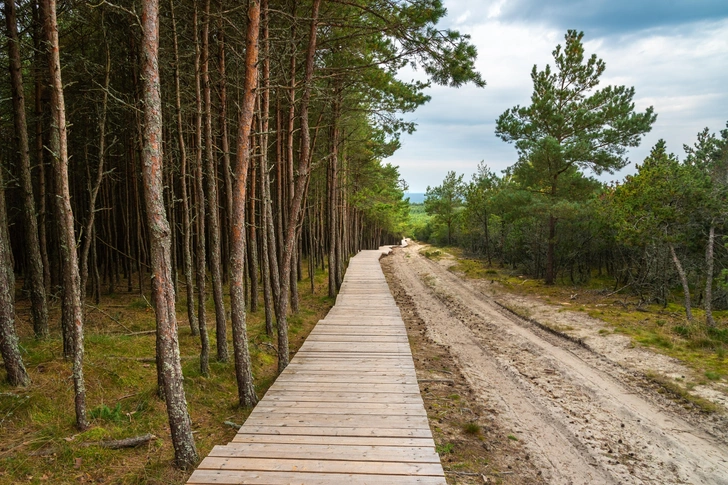 Источник: Shutterstock/Fotodom.ru