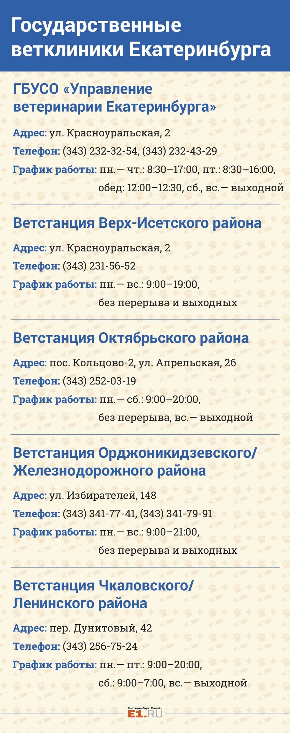 Как подготовить кота или собаку к путешествию по России и за границу. Как  перевозить домашнее животное в самолете или поезде - 1 июля 2018 - Е1.ру