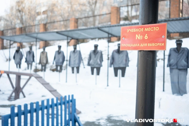 Источник: Елена Буйвол / VLADIVOSTOK1.RU