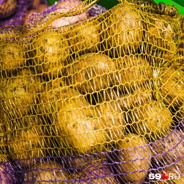 Вариант подороже | Источник: Тимофей Калмаков / 59.RU