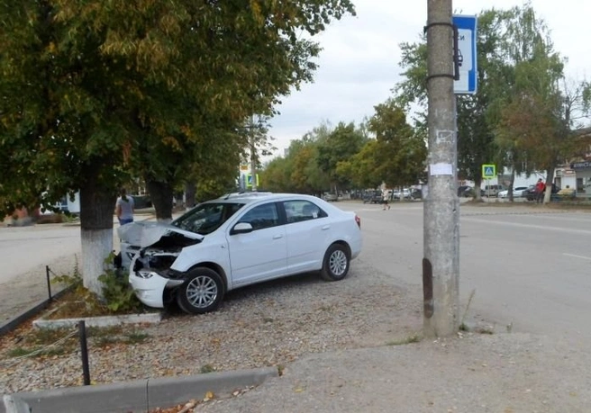 В Пронском районе иномарка с 3 детьми врезалась в дерево | ya62.ru