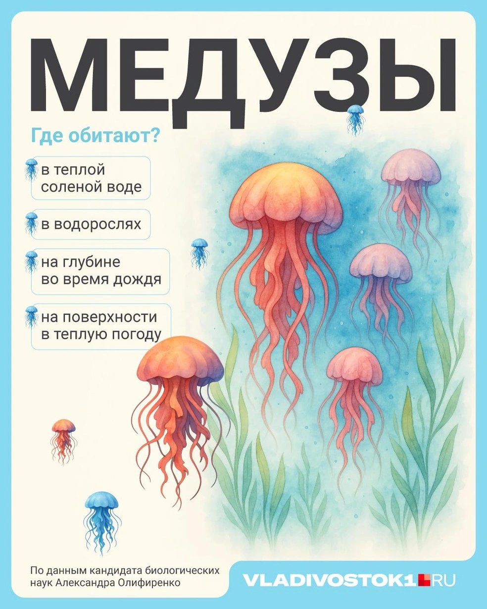 Источник: Полина Авдошина / Городские медиа