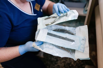 Два народных целителя работают легально в Омской области