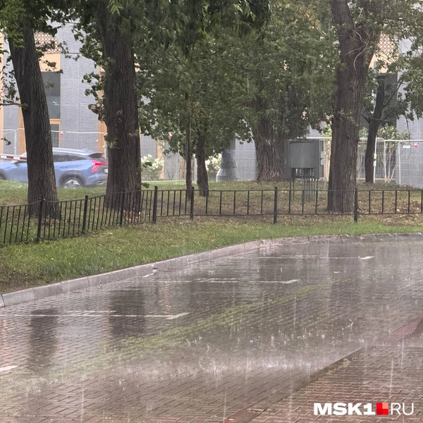 Источник: Дмитрий Толстошеев / MSK1.RU