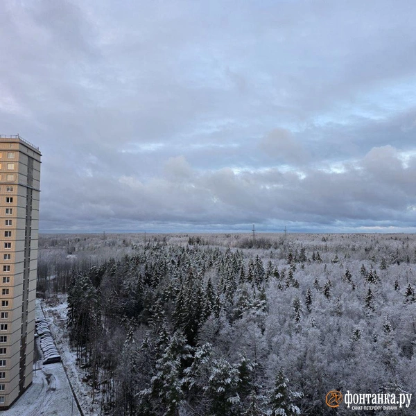 Источник: читатель «Фонтанки»