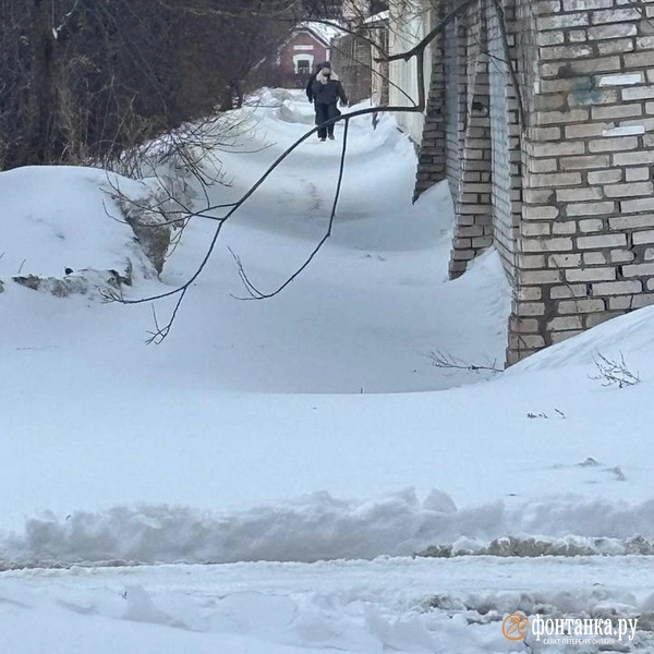 Источник: читатель «Фонтанки»