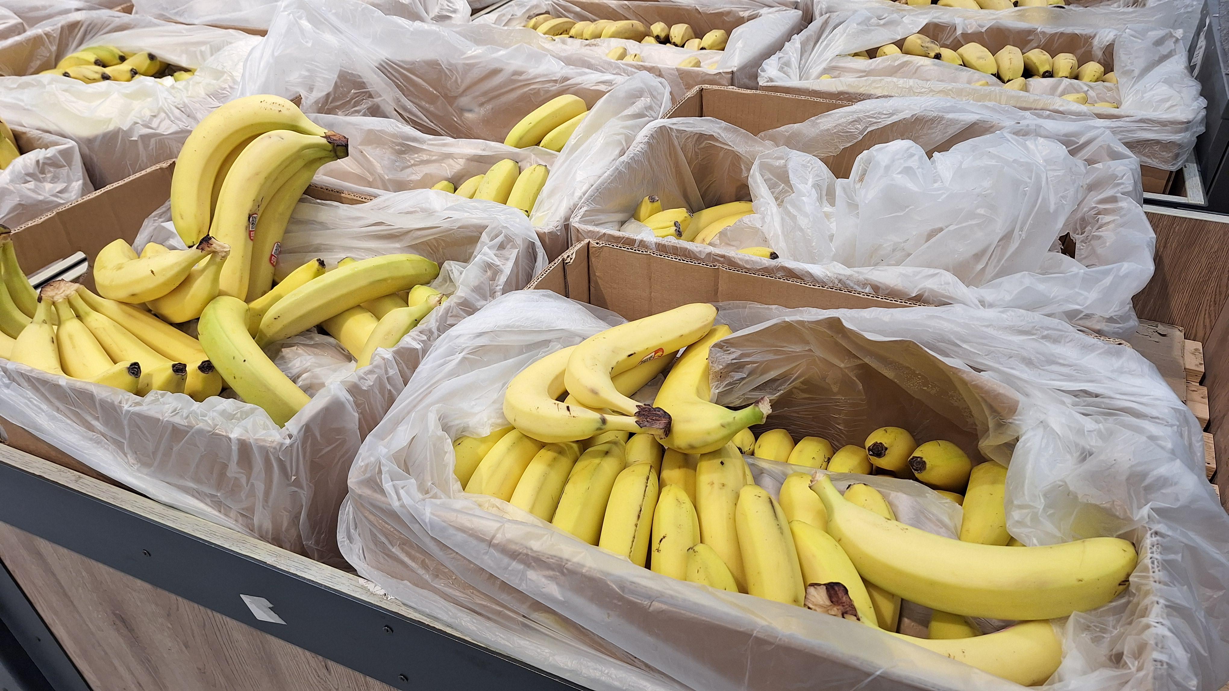 Изучаем, сколько стоят бананы в Кургане, пока их не начали мерить сантиметром, — обзор