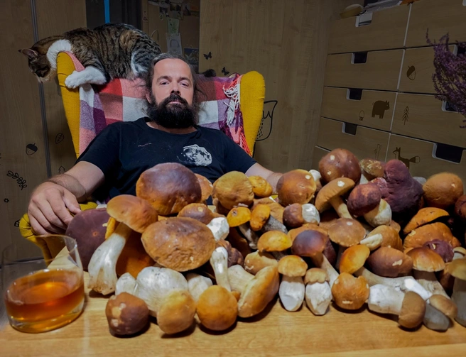 Грибники из Петербурга собирают грибы в лесах Ленобласти | Источник: Антон Кубышкин / Грибы и Грибники СПб