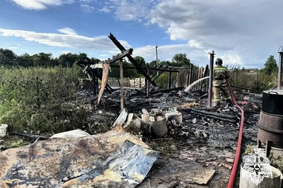 Пожар в сарае унёс жизни десятков животных