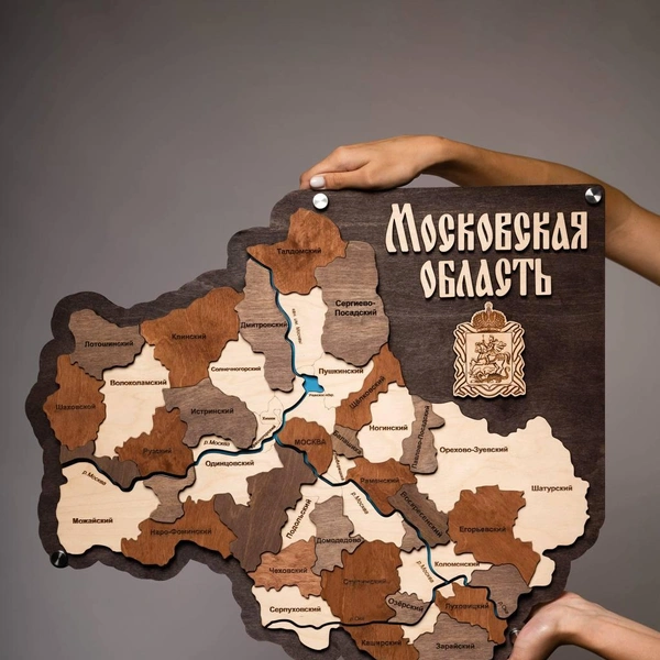 Карта другого региона — Московской области | Источник: предоставлено Русланом Хуснутдиновым