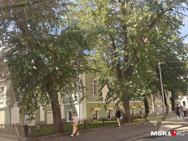 Усадьба Бахрушиных | Источник: Анастасия Харитонова / MSK1.RU