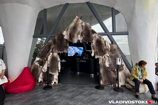 Источник: Елена Буйвол / VLADIVOSTOK1.RU