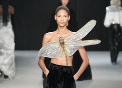 Индийский террариум от кутюр у Rahul Mishra