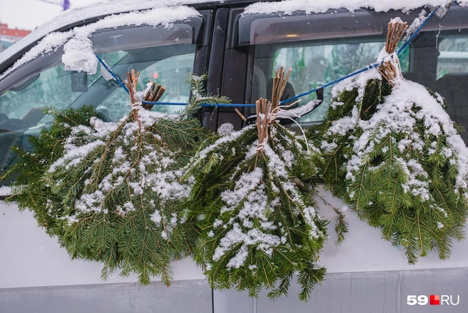 Лапник подвесили к машине | Источник: Тимофей Калмаков / 59.RU
