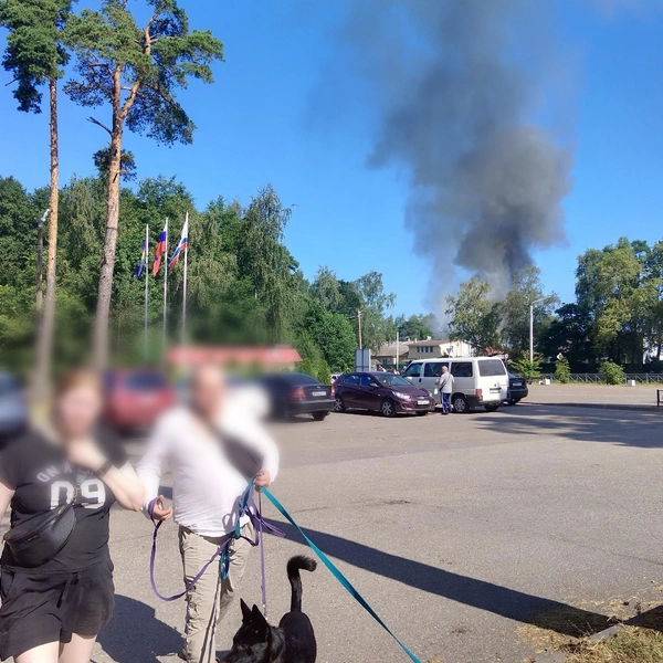 Источник: группа Вконтакте «БОЛЬШАЯ ИЖОРА СОСНОВЫЙ БОР — СПБ Санкт-Петербург»