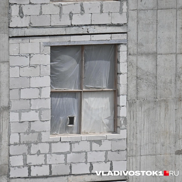 Источник: Елена Буйвол / VLADIVOSTOK1.RU