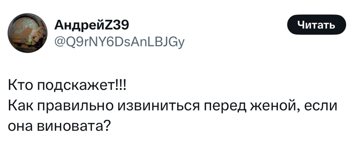 Источник: X (Twitter)