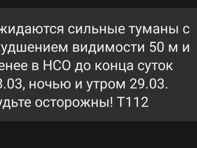 Официальное сообщение от спасателей | Источник: МЧС по Новосибирской области