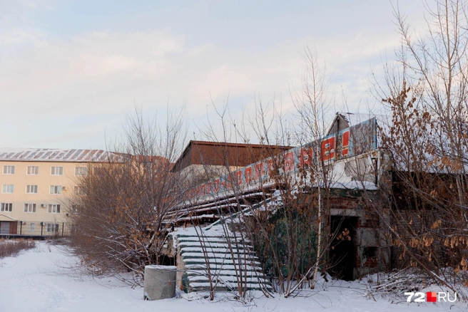 Источник: Ирина Шарова / 72.RU