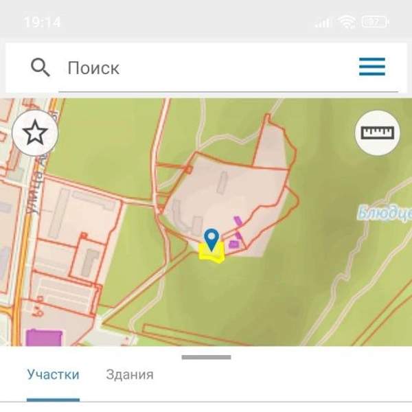 Отделенный от санатория участок | Источник: скрин кадастровой карты