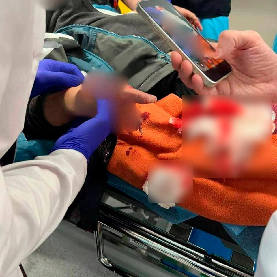 Источник: «Красногорск Сегодня» / T.me