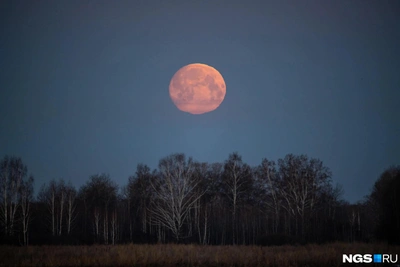 Кузбассовцы сняли кровавую луну во время затмения