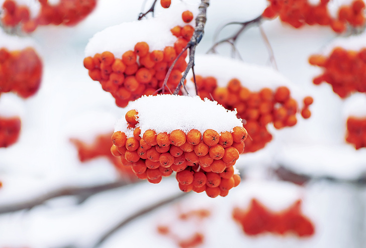 iStock