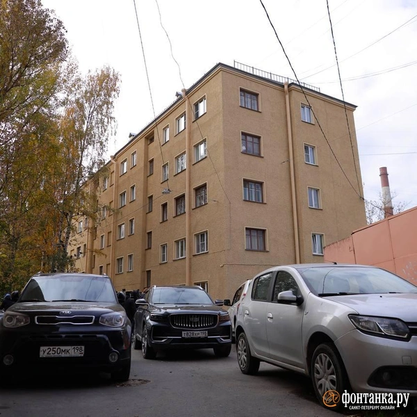 Источник: Дарья Драй / «Фонтанка.ру»