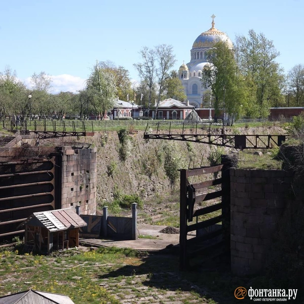 Источник: Анастасия Барашкова / «Фонтанка.ру»