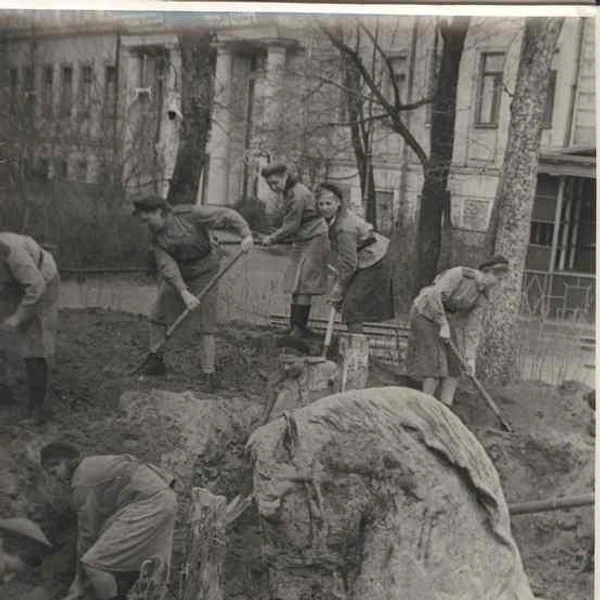 Извлечение из укрытия скульптурных конных групп Аничкова моста в саду дворца Пионеров (Аничкова дворца). 1945 год. Неизвестный фотограф. (Фотохроника ЛенТАСС) | Источник: КГИОП