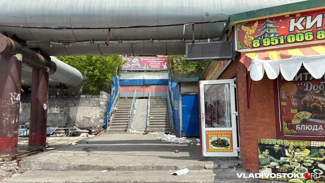Источник: Елена Буйвол / VLADIVOSTOK1.RU