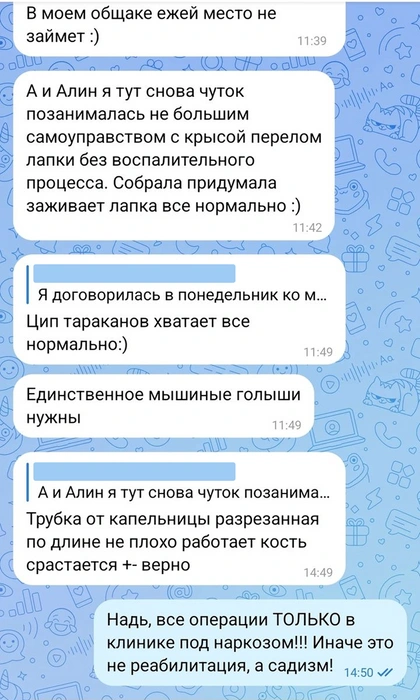 Фрагмент переписки, в котором Надежда пишет о том, как провела операцию «самостоятельно на дому» | Источник: Алина Ерина