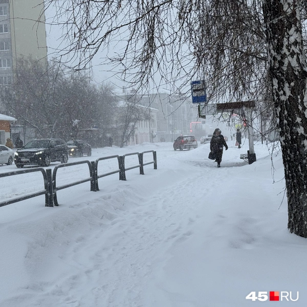 Источник: Юлия Король / 45.RU
