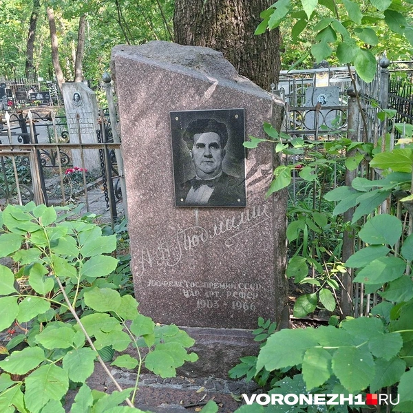 Источник: Алена Воропаева / Voronezh1.ru