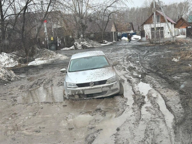 Это фото в комментариях определенно не нуждается | Источник: Ксения Ловчикова
