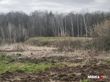 Слева&nbsp;— еще не засыпанное поле, справа&nbsp;— мусорная гора с травой | Источник: Михаил Мечев / MSK1.RU