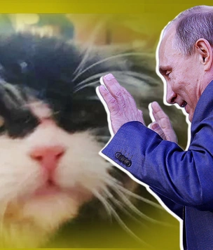 В Тульской области продают кота за 12 миллионов. Его гладил Путин!