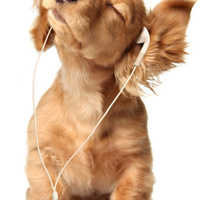 Аватарка Ленка