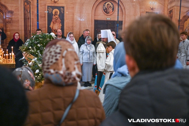 Источник: Елена Буйвол / VLADIVOSTOK1.RU