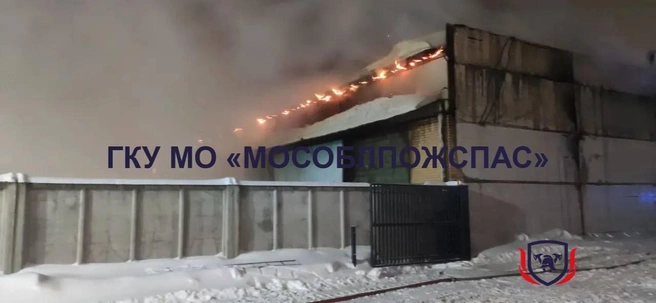 Загорелся завод по производству пластиковых изделий в Электроуглях | Источник: ГКУ МО «Мособлпожспас» / T.me