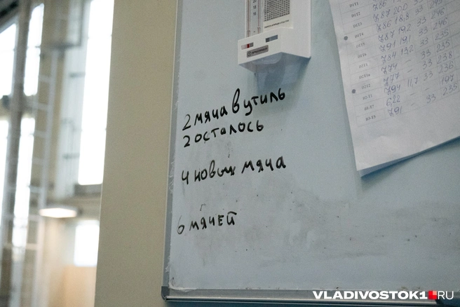 Источник: Елена Буйвол / VLADIVOSTOK1.RU