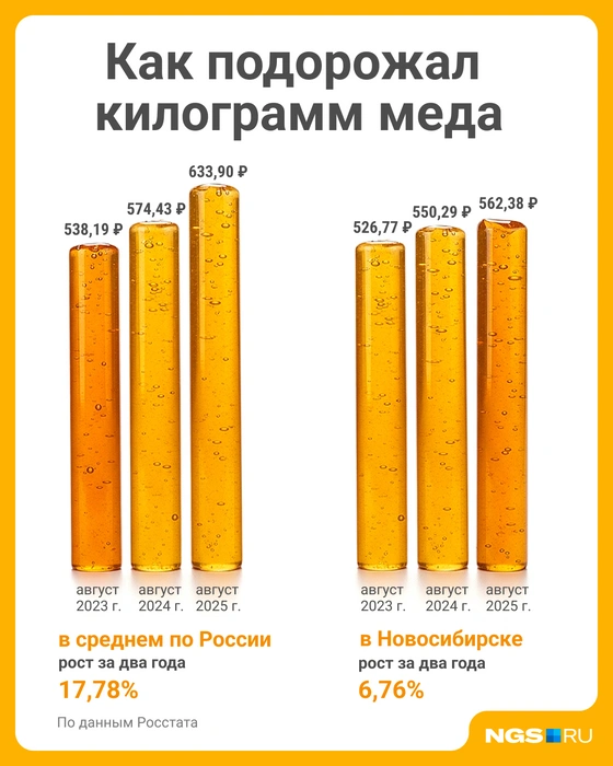 Источник: Юрий Орлов / Городские медиа