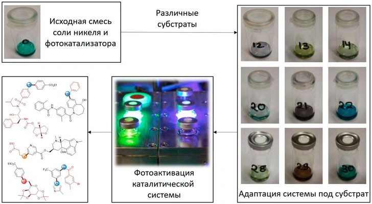 Теория, подкрепленная практикой, и эффективный катализатор: как 2023-й год расширил знания xимиков