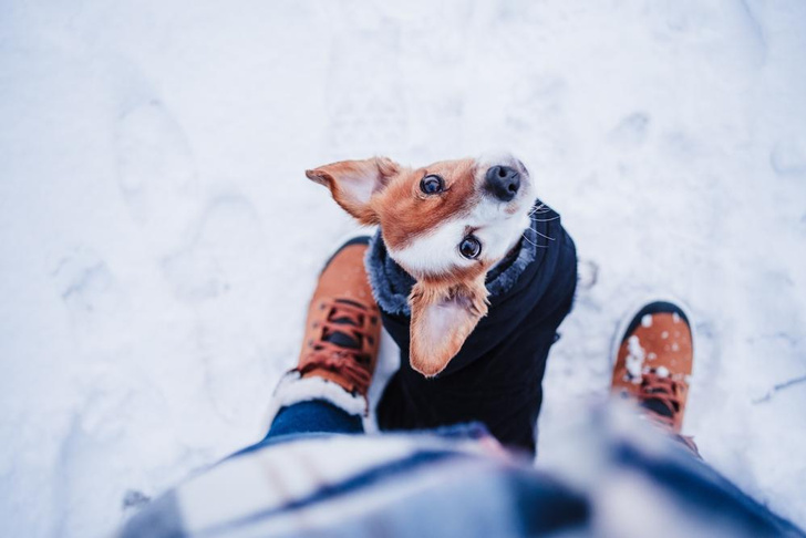 Врач назвал 4 причины, по которым полезно гулять в мороз