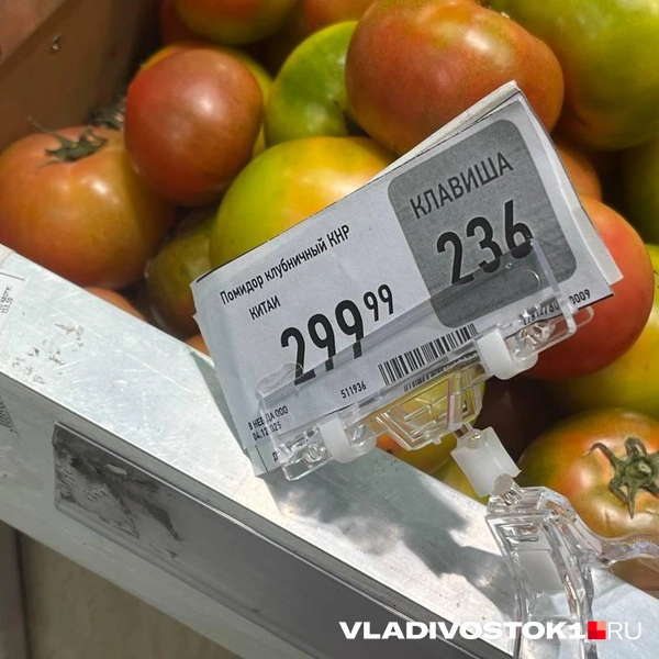 Источник: Елена Буйвол / VLADIVOSTOK1.RU