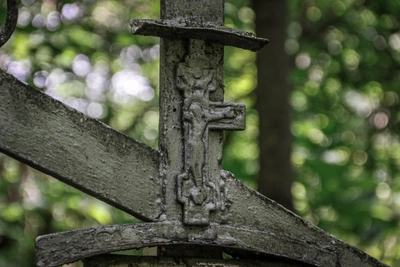 В Нижнем Новгороде расширят кладбище на 20 644 места