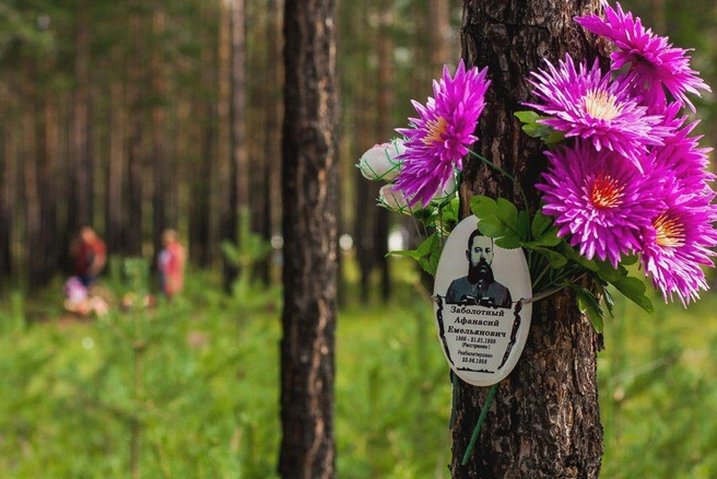 Источник: Ксения Зимина